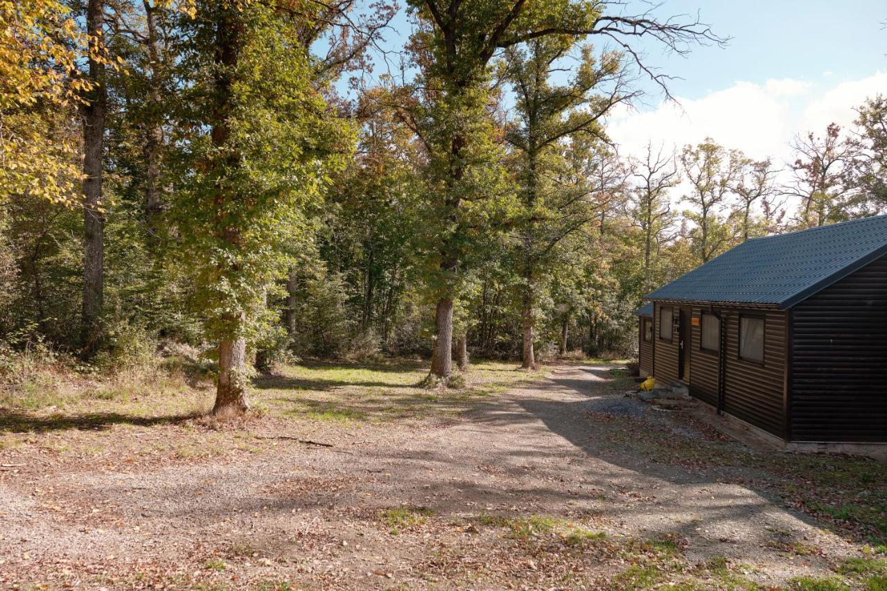 Chalet D'Un Ami Somme-Leuze Exterior foto